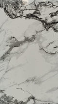 Onyx Flow Luxury Wall Panel | Dramatic Black Veining | Gloss Finish | Tenerife